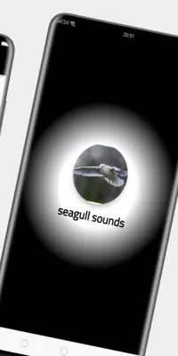 seagull sounds android App screenshot 1